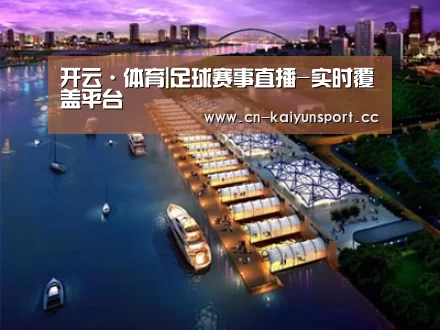 案例展示八