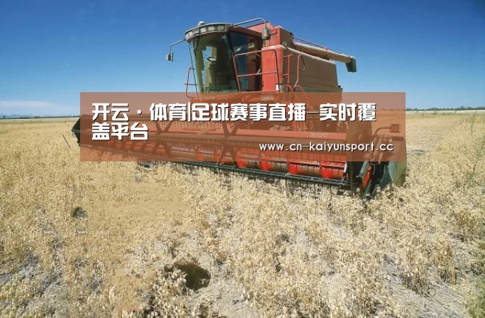 产品名称三