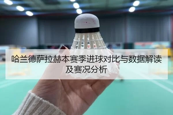 哈兰德萨拉赫本赛季进球对比与数据解读及赛况分析