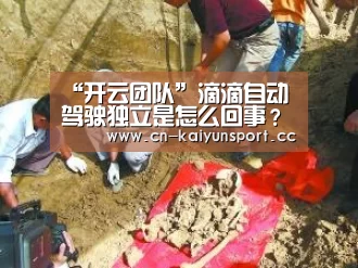 “开云团队”滴滴自动驾驶独立是怎么回事?滴滴自动驾驶独立具体什么情况?(图3) 开云集团