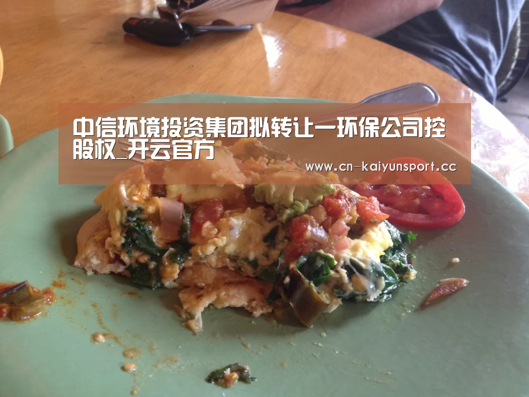 中信环境投资集团拟转让一环保公司控股权_开云官方(图4) 开云